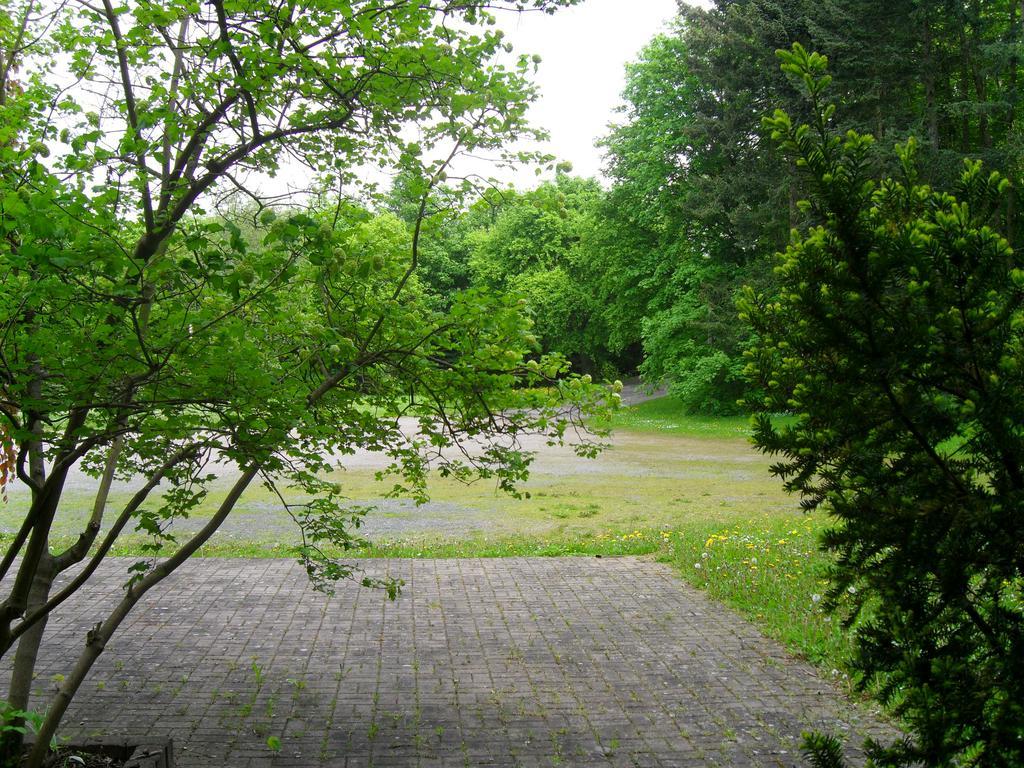 Motel Zur Festwiese Gierstädt Esterno foto