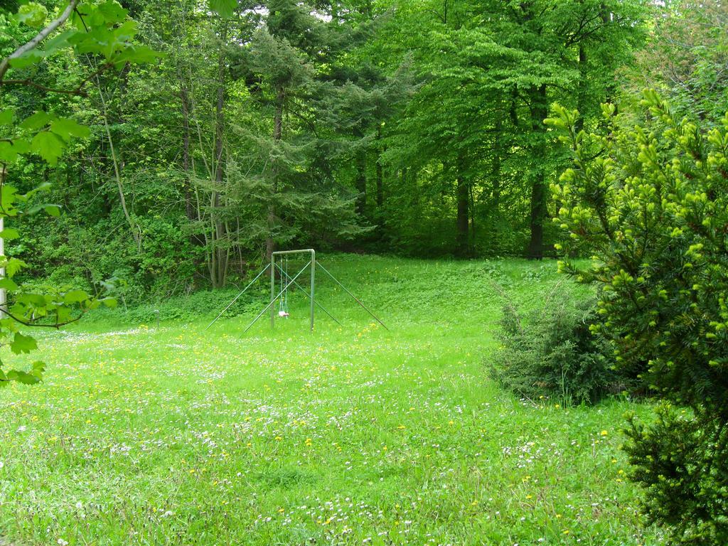 Motel Zur Festwiese Gierstädt Esterno foto